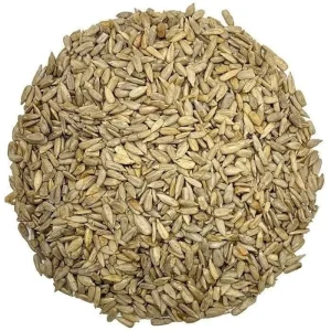 مغز تخمه آفتابگردان