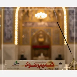 عود دست ساز شمیم رضوی